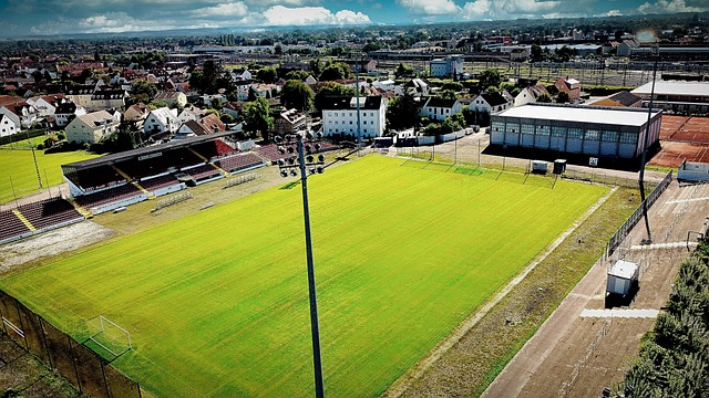 青岛市政府常务会议召开 赵豪志主持会议.