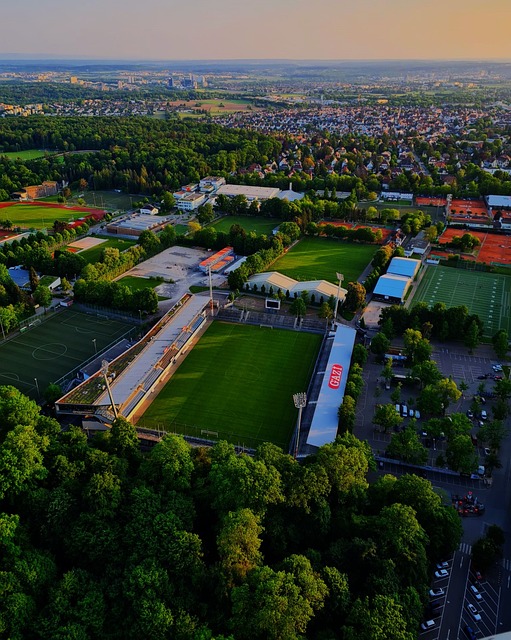 三位进球功臣，萨拉赫晒与索博斯洛伊、加克波自拍合照.