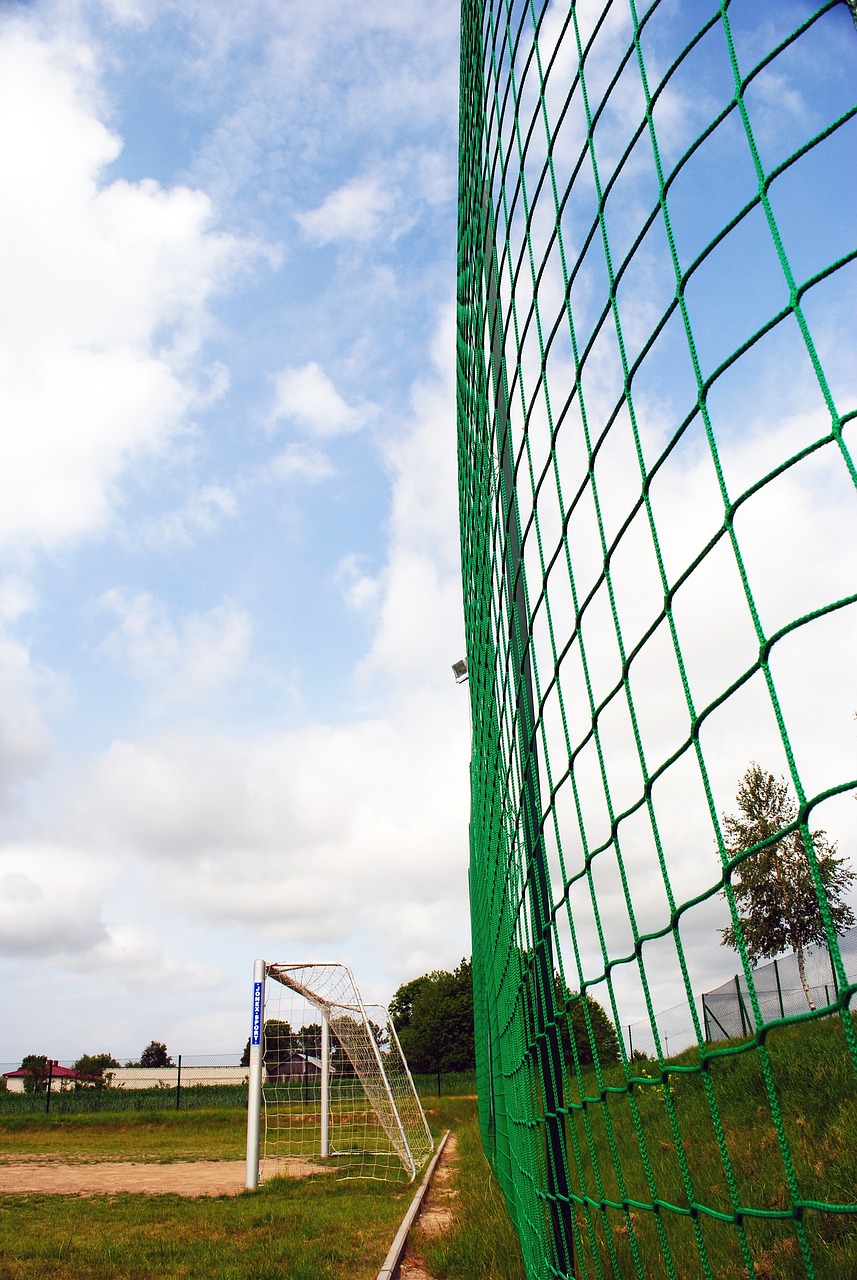 不仅验证球 不仅验证球