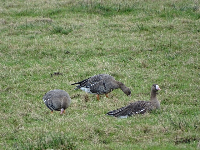檢查埃裏克 檢查埃裏克