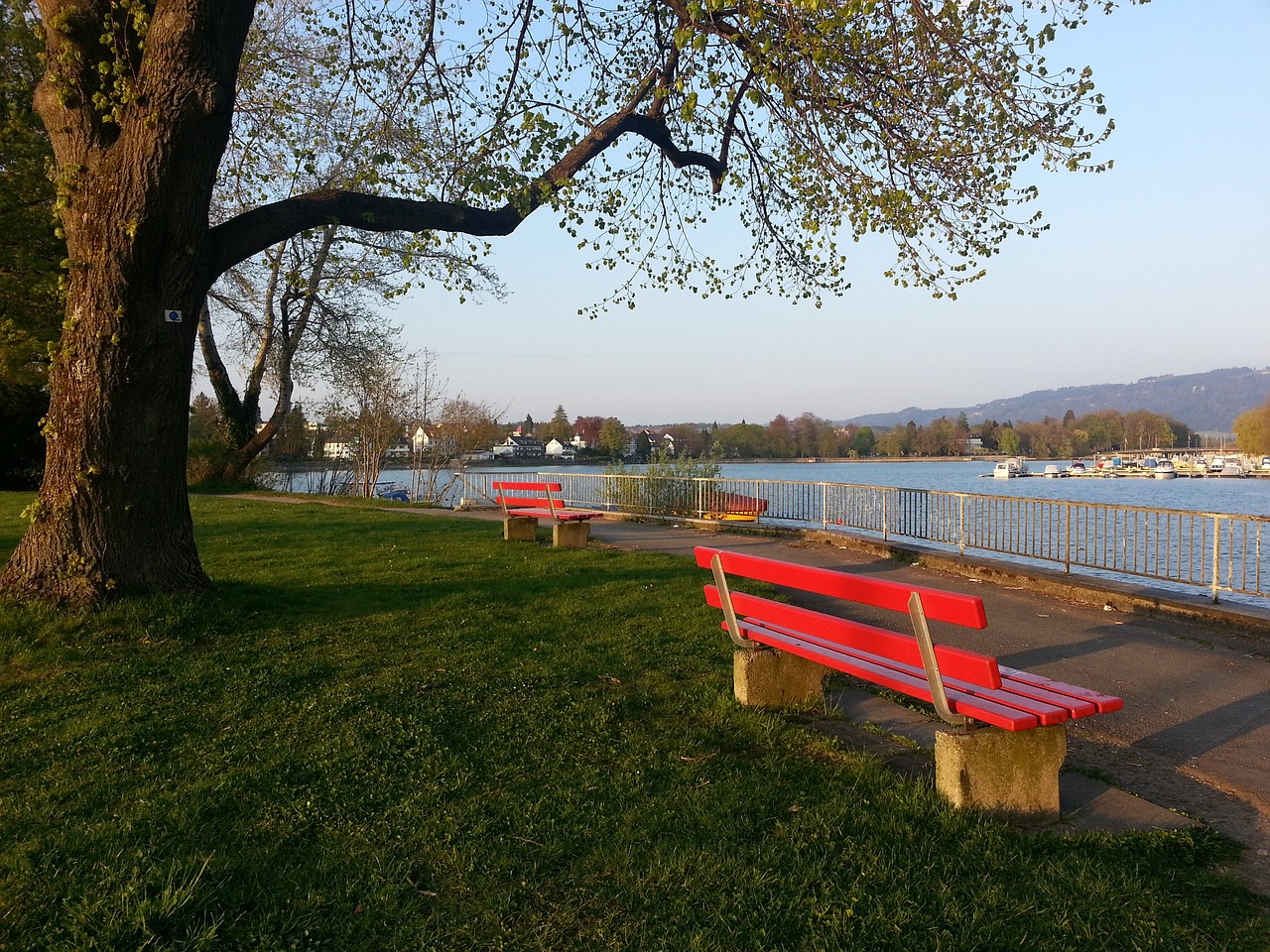 巅峰期，勇士库里打灰熊成史上单节至少15分5板5三分球最年长球员.