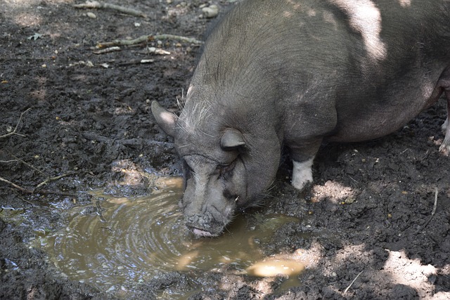 哈登：即便离开快船我也绝不会加盟湖人，只有这2支球队最适合我.