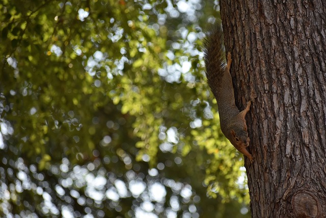 孙颖莎3-1覃予萱！收获全运会资格赛三连胜，为河北女队立下大功.