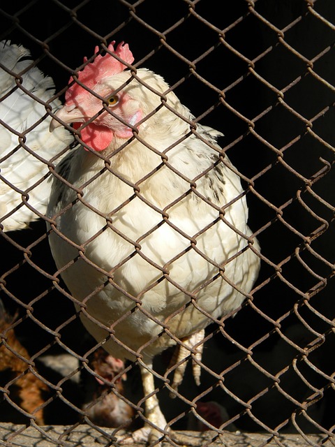 际赛事中再 际赛事中再