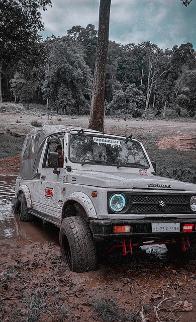 斯诺克——世界大奖赛：特鲁姆普晋级半决赛.