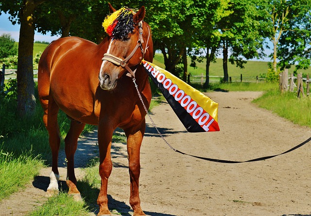 登陆女足英超！王霜：挑战世界上最好的球队和球员.