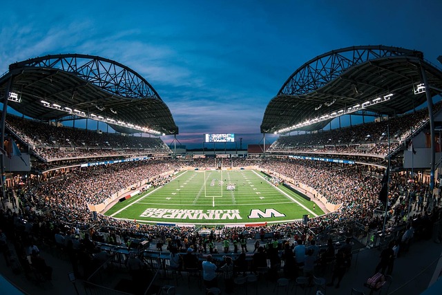 在本届国王 在本届国王